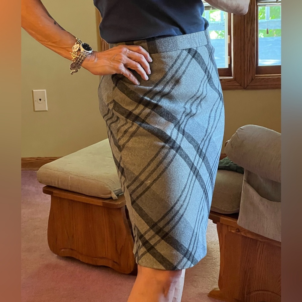 The Limited skirt